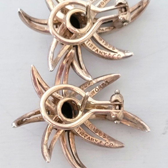 Tiffany & Co. Fireworks Onyx Earrings